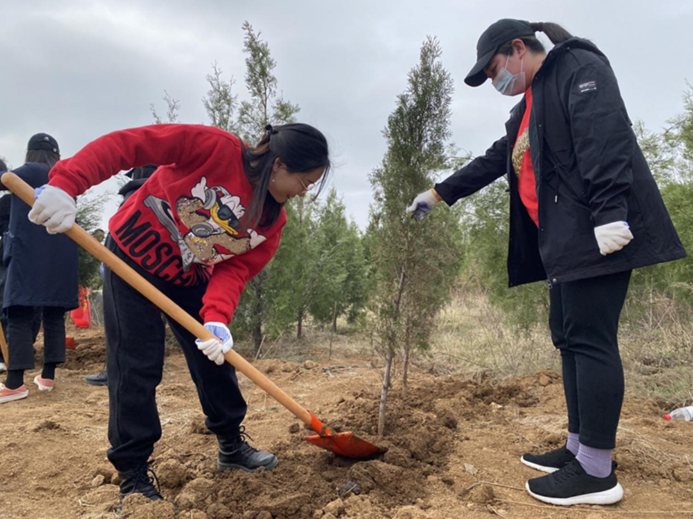 1681439852200181.png 图片2_副本.png